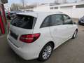 Mercedes-Benz B 200 B 200 Style 1.6 Aut.*Stdhzg*Leder*Pano*Navi Weiß - thumbnail 10