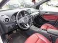 Mercedes-Benz B 200 B 200 Style 1.6 Aut.*Stdhzg*Leder*Pano*Navi Weiß - thumbnail 11