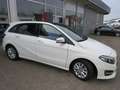 Mercedes-Benz B 200 B 200 Style 1.6 Aut.*Stdhzg*Leder*Pano*Navi Weiß - thumbnail 4