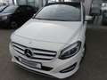 Mercedes-Benz B 200 B 200 Style 1.6 Aut.*Stdhzg*Leder*Pano*Navi Weiß - thumbnail 3