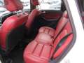 Mercedes-Benz B 200 B 200 Style 1.6 Aut.*Stdhzg*Leder*Pano*Navi Weiß - thumbnail 13