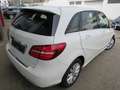 Mercedes-Benz B 200 B 200 Style 1.6 Aut.*Stdhzg*Leder*Pano*Navi Weiß - thumbnail 5