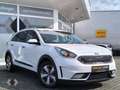 Kia Niro Vision 1.6 Hybrid Navi/Klima/Fahrerprofil/SHZ/L.HZ Weiß - thumbnail 3