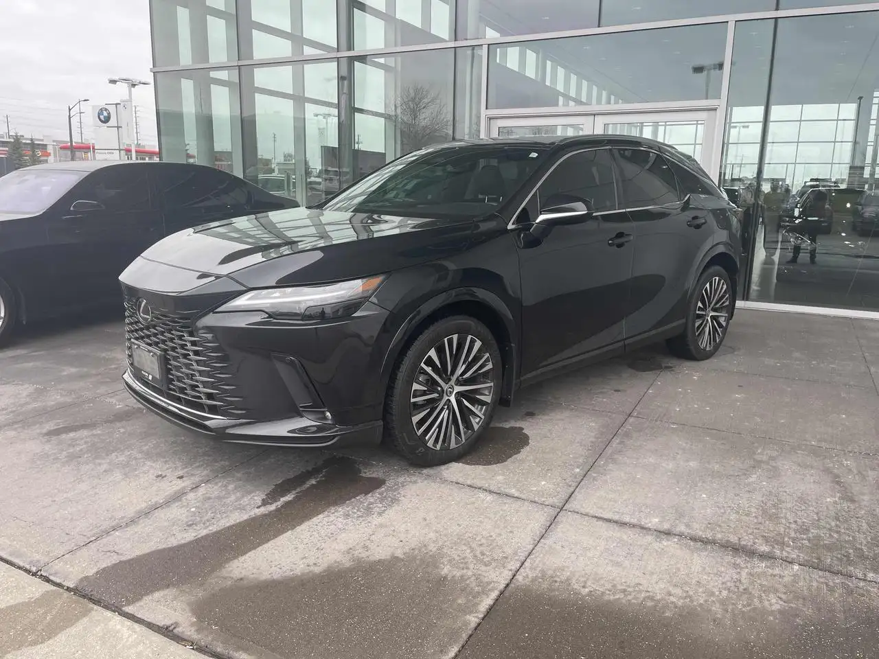 2024 Lexus RX