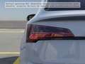 Audi Q5 50 TFSI e quattro S tronic S line L Weiß - thumbnail 9
