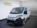 Fiat Ducato Schwingsitz, 7´´ Car Play, 360 Grad, uvm. Weiß - thumbnail 1