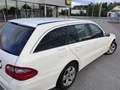 Mercedes-Benz E 220 Classic - thumbnail 7