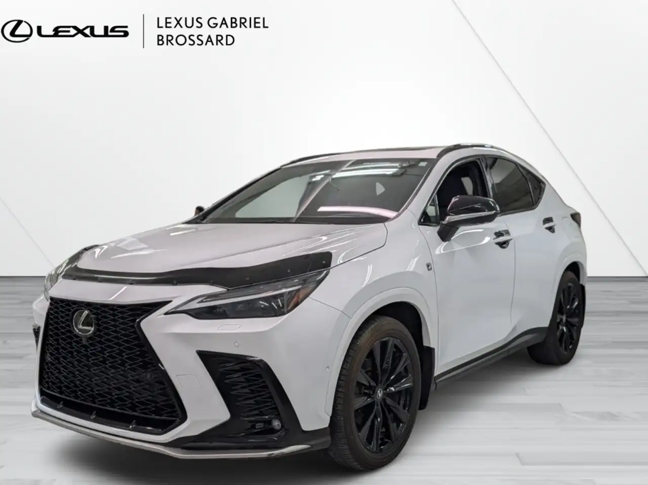 2024 Lexus NX
