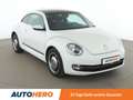 Volkswagen Beetle 1.6 TDI Cup BlueMotion Tech Aut.*PDC*TEMPO* bijela - thumbnail 8