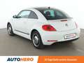 Volkswagen Beetle 1.6 TDI Cup BlueMotion Tech Aut.*PDC*TEMPO* bijela - thumbnail 4