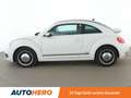Volkswagen Beetle 1.6 TDI Cup BlueMotion Tech Aut.*PDC*TEMPO* bijela - thumbnail 3