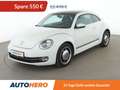 Volkswagen Beetle 1.6 TDI Cup BlueMotion Tech Aut.*PDC*TEMPO* bijela - thumbnail 1