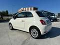 Fiat 500 1.2 Lounge OK NEOPATENTATI Bianco - thumbnail 6