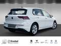 Volkswagen Golf VIII Life 2.0 TDI LED/NAVI/ACC Bianco - thumbnail 2