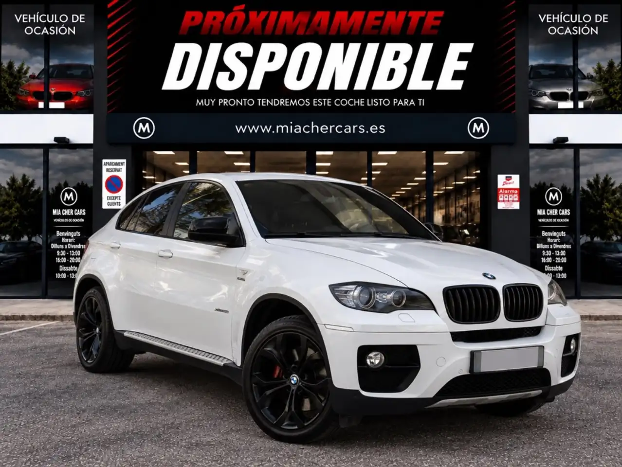 BMW X6
