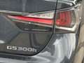 Lexus GS 300 GS 300h Luxury Line-Led-Cam-Trekhaak-Carpass-Full Zwart - thumbnail 20