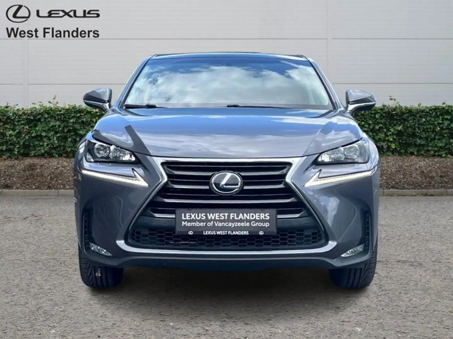 Lexus NX 300h EXECUTIVE LINE Grijs - 2