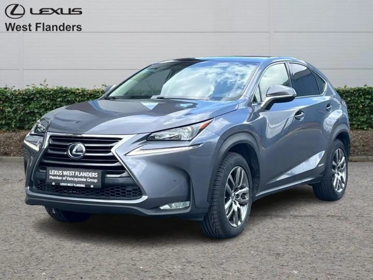 Lexus NX 300h EXECUTIVE LINE Grijs - 1