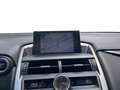 Lexus NX 300h EXECUTIVE LINE Grijs - thumbnail 10