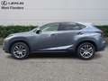 Lexus NX 300h EXECUTIVE LINE Grijs - thumbnail 5