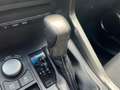 Lexus NX 300h EXECUTIVE LINE Grijs - thumbnail 17