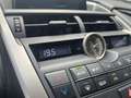 Lexus NX 300h EXECUTIVE LINE Grijs - thumbnail 12