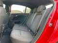 Fiat Tipo 5p 1.6 Mjt Sport 120CV Rosso - thumbnail 8