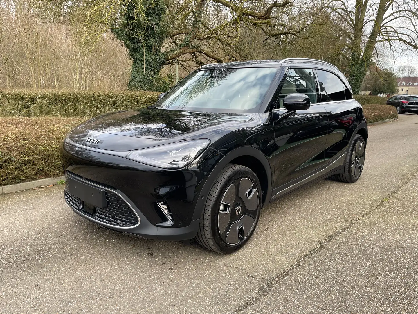smart #1 66 kWh Premium Negru - 1