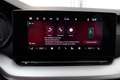 Skoda Octavia Essence TSI Grau - thumbnail 6