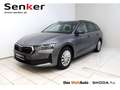 Skoda Octavia Essence TSI Grau - thumbnail 1