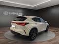Lexus NX 450h+ NX 450h+ 2.5 phev Luxury 4wd 309cv e-cvt Bianco - thumbnail 4