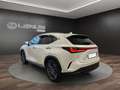 Lexus NX 450h+ NX 450h+ 2.5 phev Luxury 4wd 309cv e-cvt Bianco - thumbnail 3