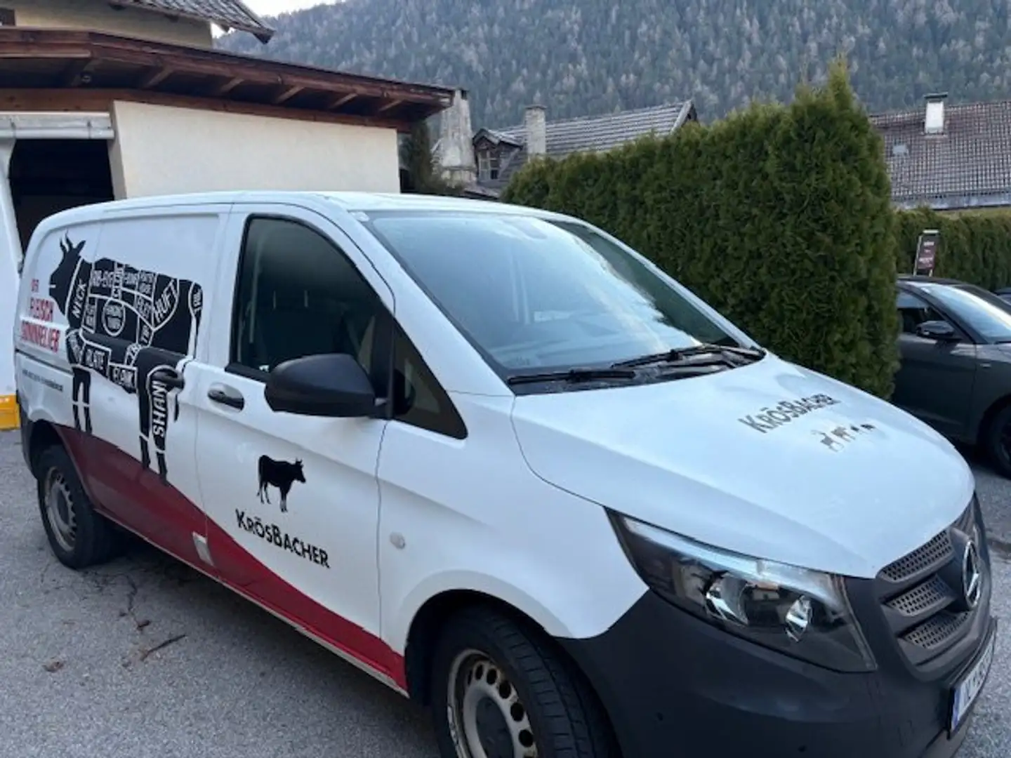 Mercedes-Benz Vito Vito  Allrad Aut. Weiß - 1