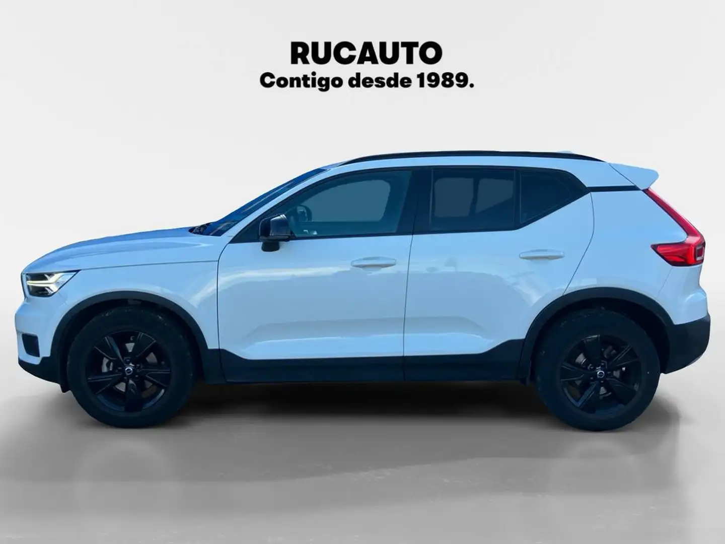 Volvo XC40 - 1.5 T3 Auto Blanc - 2