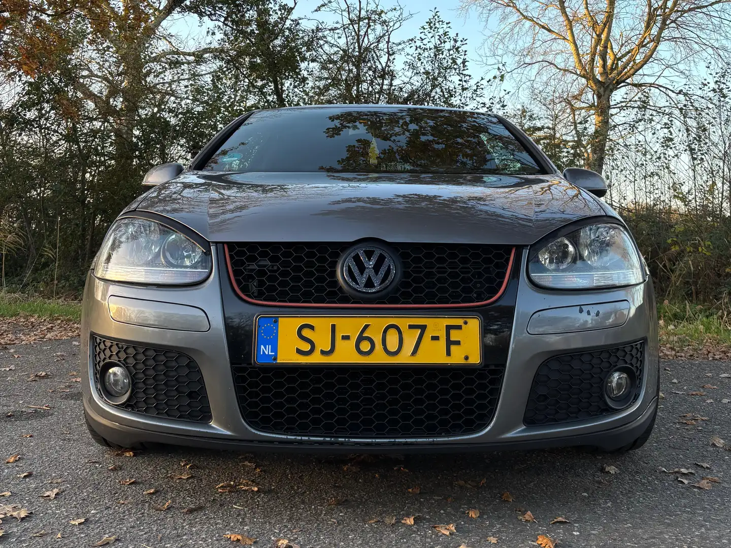 Volkswagen Golf Golf 1.4 TSI GT Grijs - 2