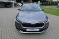Skoda Fabia 'Drive' #KLIMA #KAM #DAB+ #AHK #TEMP Grau - thumbnail 9