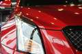 Cadillac ATS ATS V 6 CYLINDRES BI TURBO 471CH Rot - thumbnail 24