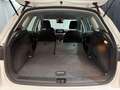 SEAT Arona -29% 1.0 TSI 110cv +GPS+RADAR+FULL LED+Options Beige - thumbnail 35
