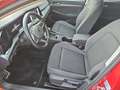 Volkswagen Golf VIII 1.0TSI Active Navi LED Kamera Rot - thumbnail 7