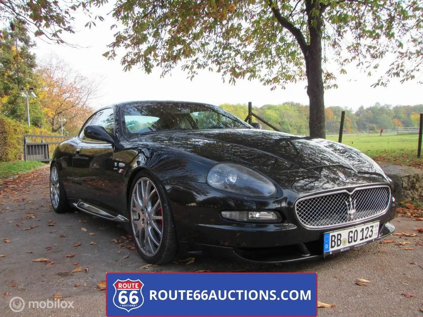 Maserati 4200 Coupé F1 Cambiocorsa Coupé| Route 66 Auctions Grijs - 1
