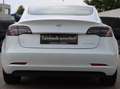 Tesla Model 3 Long Range Dual AWD *Weißes Leder* Weiß - thumbnail 8