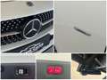 Mercedes-Benz CLS 350 d 4Matic Edition-1 AMG|WIDE|360°|BURMEST. Weiß - thumbnail 13