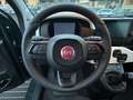 Fiat Panda Pandina III 2024 Cross Pandina Cross 1.0 fi hybrid Grün - thumbnail 13