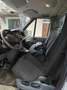 Ford Transit - thumbnail 4