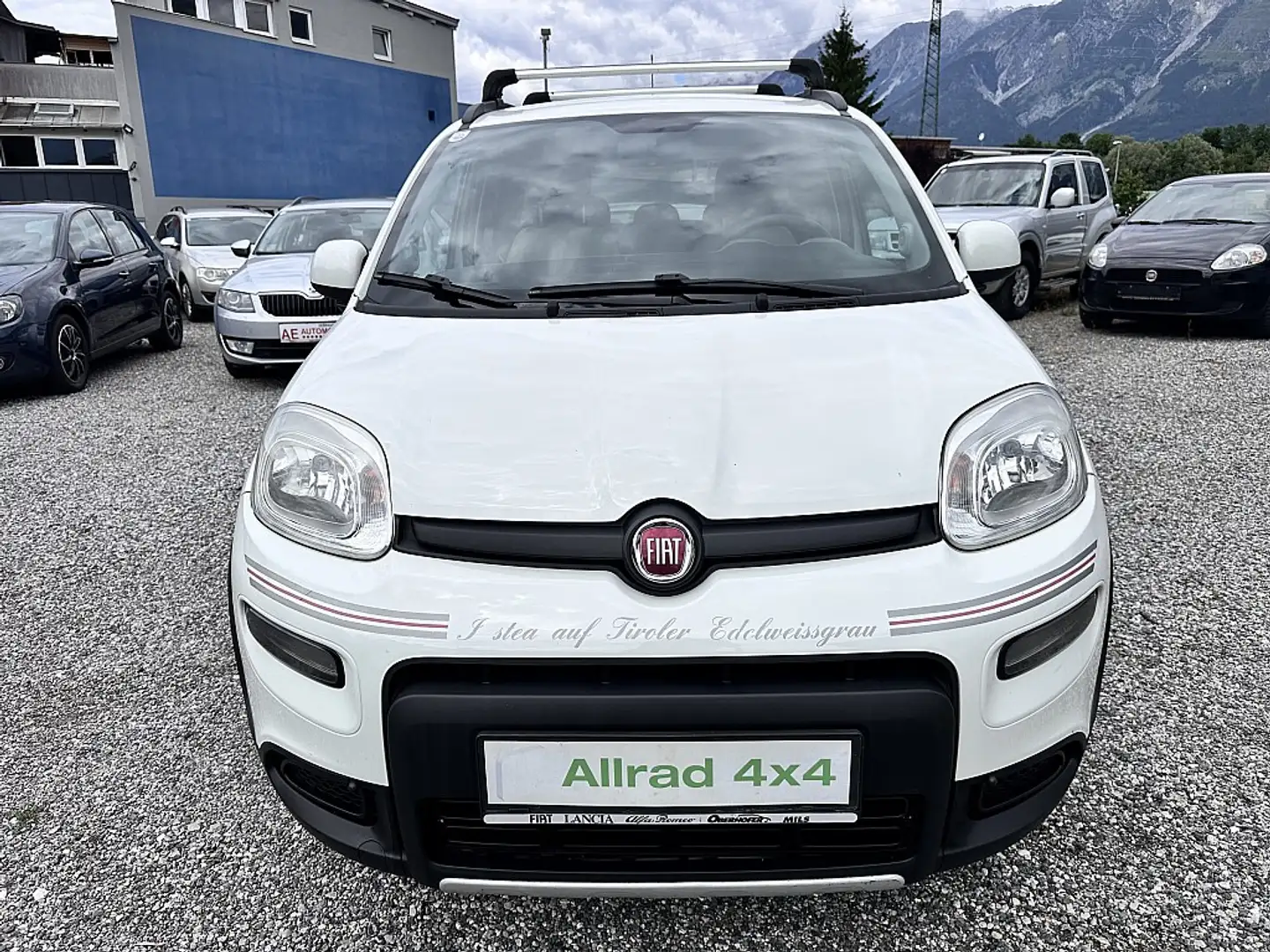 Fiat Panda Classic 4x4 1,3 Multijet II 75 Climbing Weiß - 2