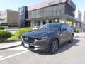 Mazda CX-30 CX-30 2.0 m-hybrid Exclusive 2wd 186cv 6mt Gris - thumbnail 14