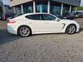 Porsche Panamera 4 Platinum Edition Leder Kamera TOP Weiß - thumbnail 4