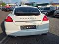Porsche Panamera 4 Platinum Edition Leder Kamera TOP Weiß - thumbnail 10