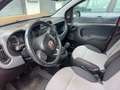 Fiat Panda 1.2 Lounge easypower Gpl 69cv KM 29.000 !!!! Rouge - thumbnail 3