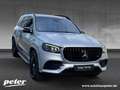 Mercedes-Benz GLS 580 4M AMG/23"/Multibeam/Head-up/Pano-SD/AHK Plateado - thumbnail 5